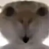 conbobietnoii2