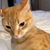 Cattyyyyyy123