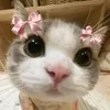 elalalxla.gracee