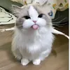 _ynz.nhyi125
