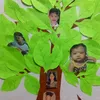 lhan806