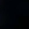 wang_dusun_