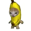 bananacat078