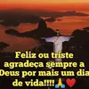 felipe.xavier514