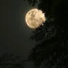 mr_11285