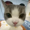 linh_nguyen151111