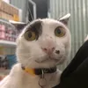 mieeephnggg