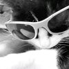 sallma_132