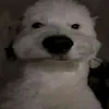 noahakayourmom123