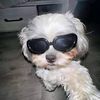 thao.mon877