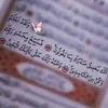 user323120284