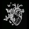 user56193615084508