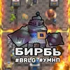 birb_brlg_ymnp