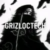 grizloctech
