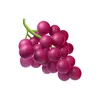 sillybean14