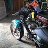 fiddzzz_195