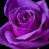 user7128504990156