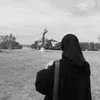 zjjjt8