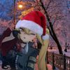 samik_21122010