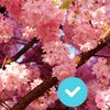 🔵 آيات_ القرآن