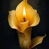 asdfcv75
