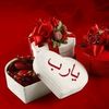 nourhan1040