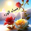 user7786172701770
