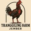 mr.tranggiling