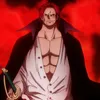 shanks.vero