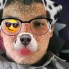 brayan66174
