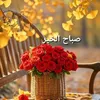 user7581620997992