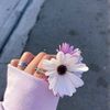 habibaelmeadm