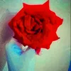sherien_98