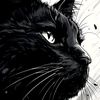 gato.com04