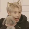 skz8_top_felix_top