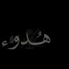 hamoudi17542