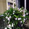 engkos.kosasih098