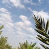 abo_ahmd_88_