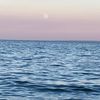 calming_20