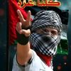 mahmoud.sadek41