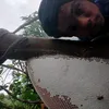 ph.trn.vlog
