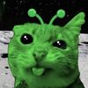 froggydoeditscp