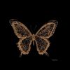 zhao_rong