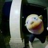 duck_crusader421