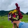 rekha.thapa171