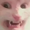 tochabazayne