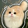 sweetieaura71