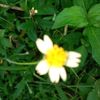 .alisha.akther