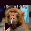 roshanjungxettri333