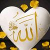 user2055043186950